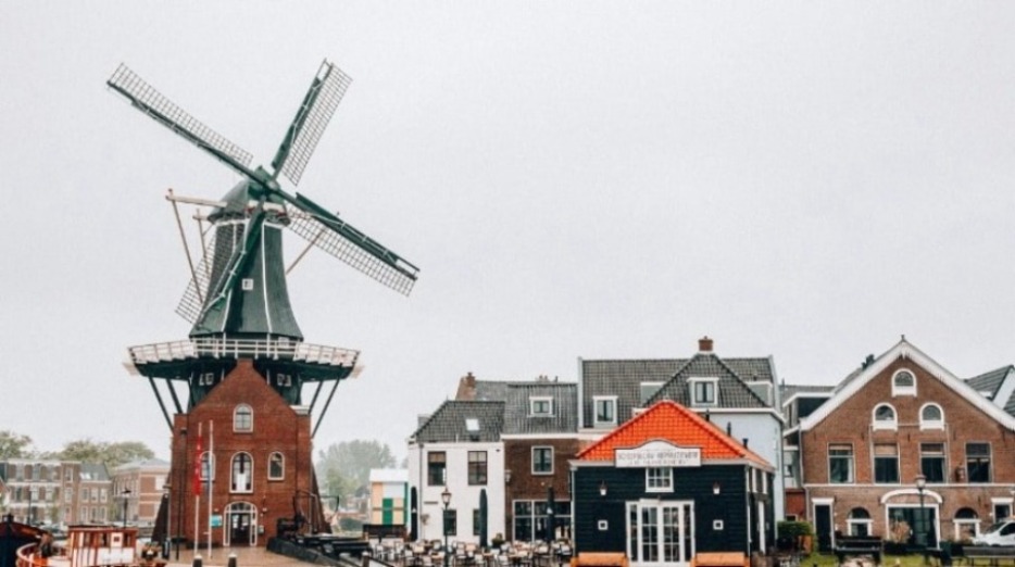 the netherlands, vitae professionals, healthcare recruitment