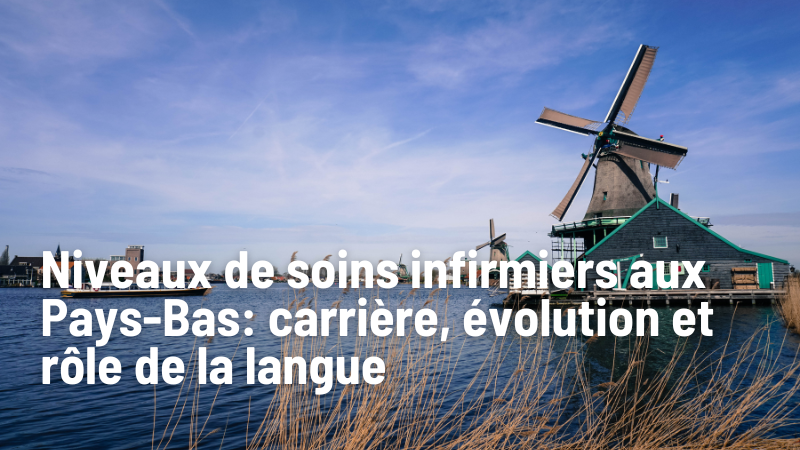 niveaux_de_soins_infirmiers_aux_pays_bas_carriere_evolution_et _role_de_la_langue_vitae_professionals